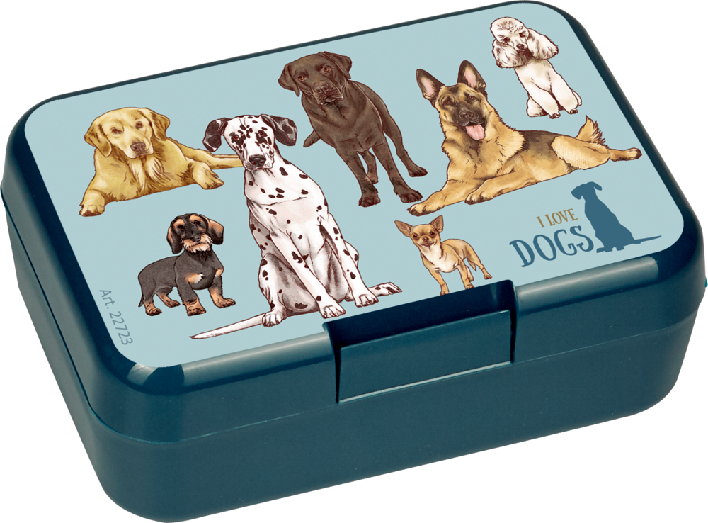 Kleine blaugrüne Lunchbox mit Abbildungen von Hunderassen und dem Text „Ich liebe Hunde“ auf dem Deckel.