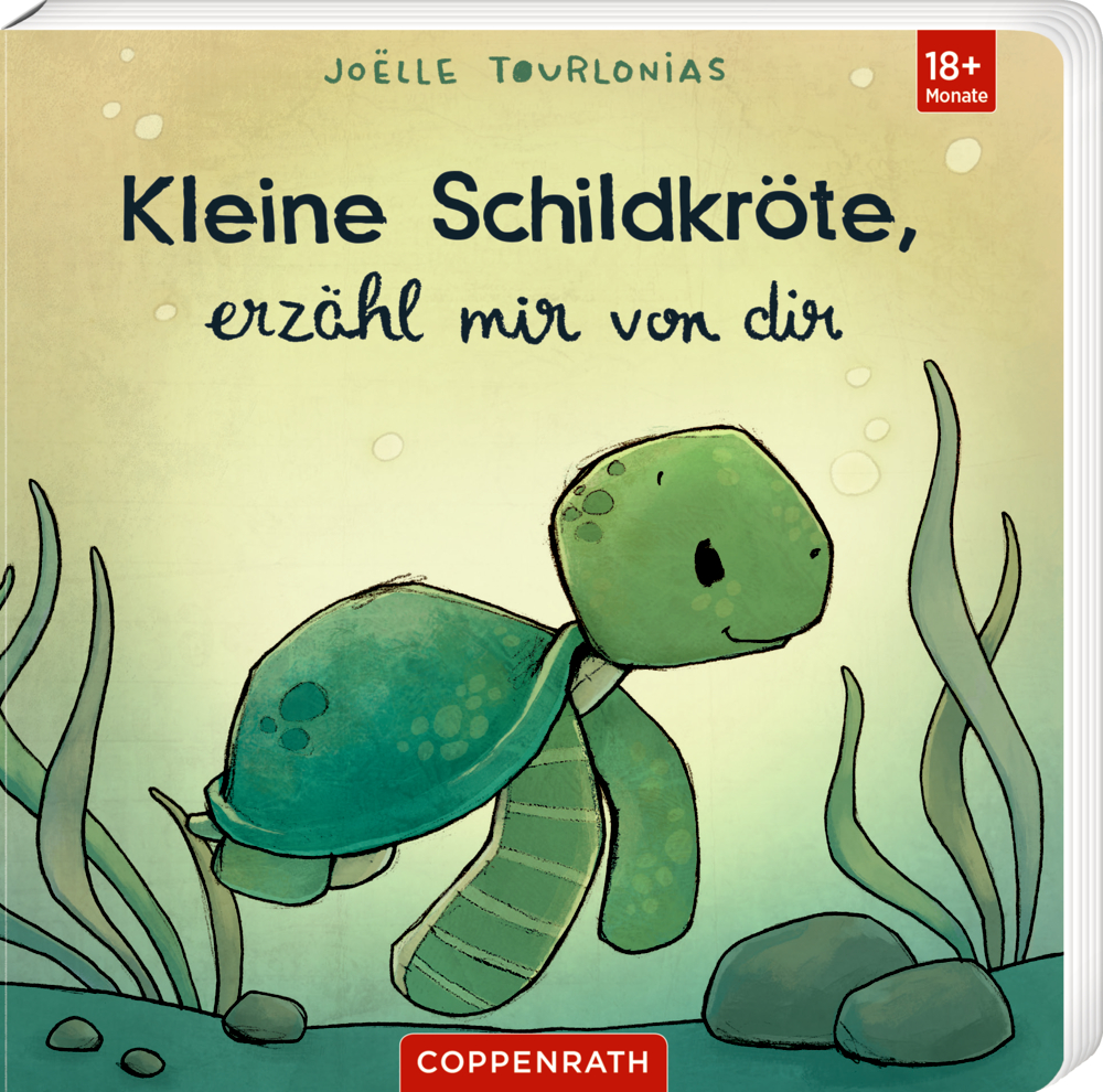 Kleine Schildkröte, erzähl mir von dir - Liebling (J. Tourlonias)