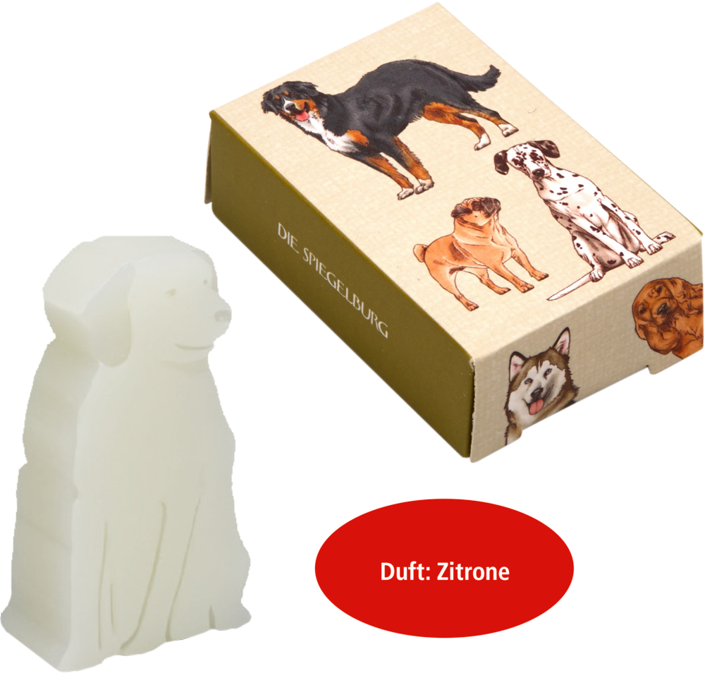 Zitronenduftseife in Hundeform in einer Schachtel mit Hundeillustrationen; Aufschrift: Duft: Zitrone.