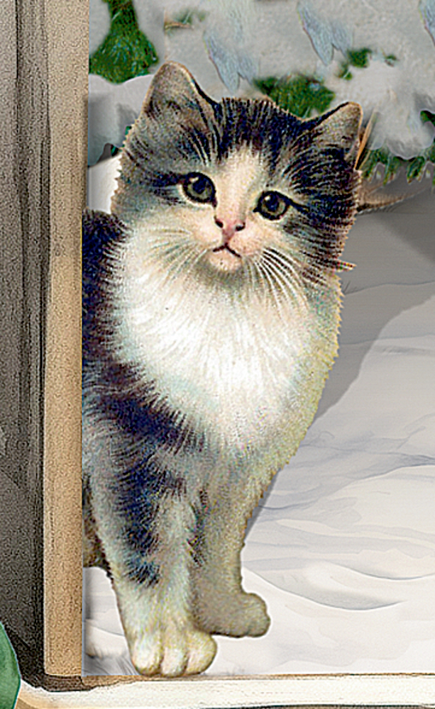 Eine flauschige schwarz-weiße Katze steht in einem Türrahmen und blickt auf den schneebedeckten Boden.