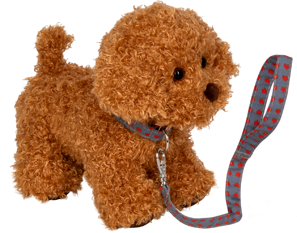 Pudel Sammy mit Leine - Lustige Tierparade Brauner, lockiger Plüschhund mit einer grauen, rot gepunkteten Leine am Halsband.