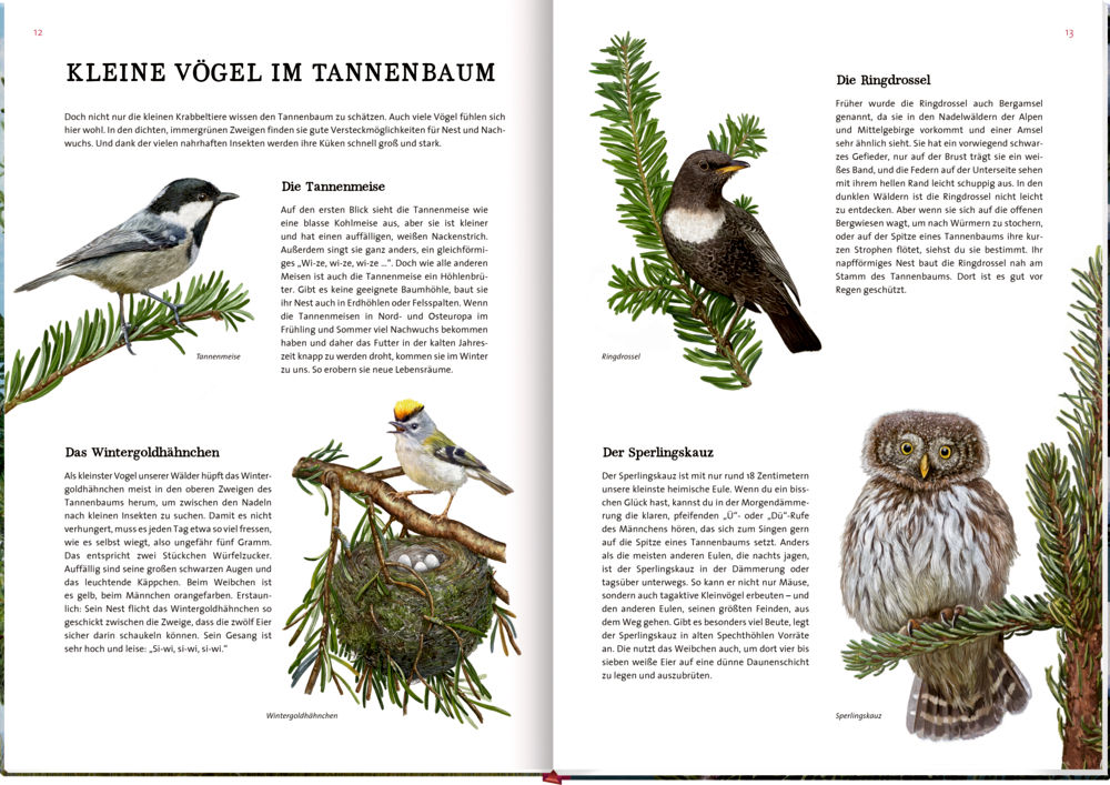 Tannenzweige mit frischen grünen Knospen, fliegende Bienen und „FRÜHLING“ vor blauem Himmel, einer Doppelseite.