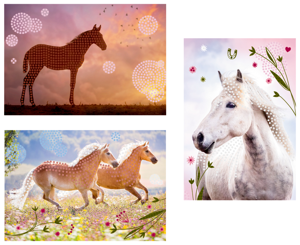 Diamond Painting Pferdefreunde