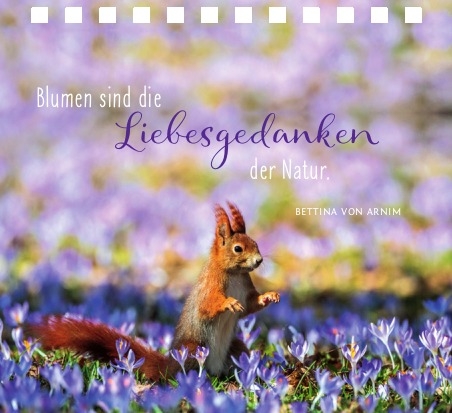 Kleines Spiralaufstellbuch: Kleine Auszeiten - Sammlung Augustina