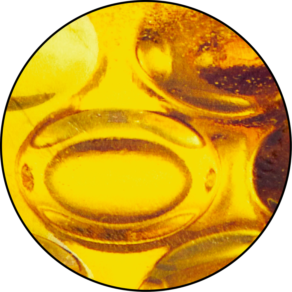 Nahaufnahme von durchscheinend-gefülltem Bierglas in rundem Rahmen.