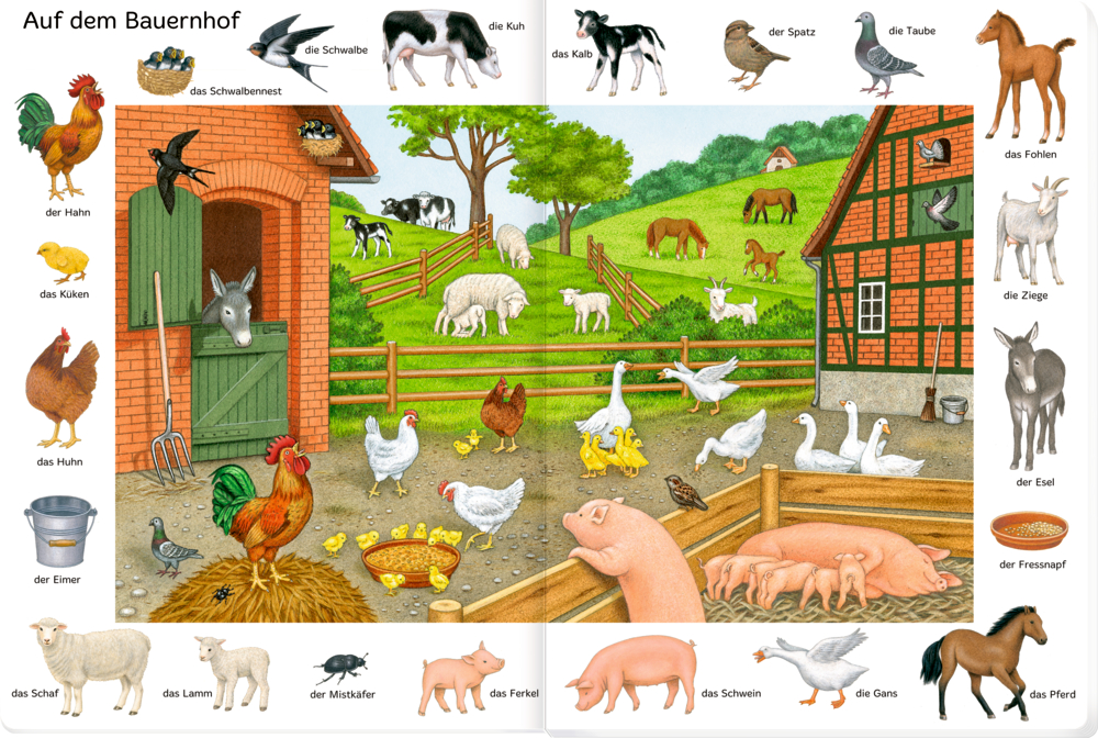 Bilder suchen-Wörter finden: So viele Tiere
