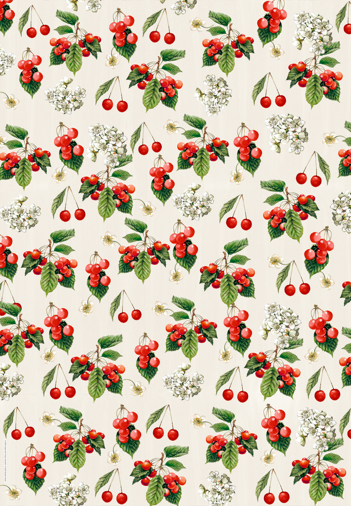 Rote Kirschen, grüne Blätter und weiße Blüten sind auf einem hellbeigen Hintergrund angeordnet.