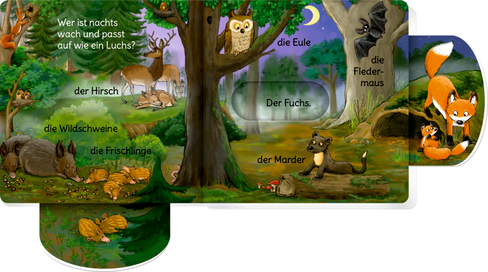 Eine bunte Waldszene bei Nacht mit beschrifteten Tieren: Reh, Wildschwein, Eule, Fuchs, Fledermaus und Baummarder.