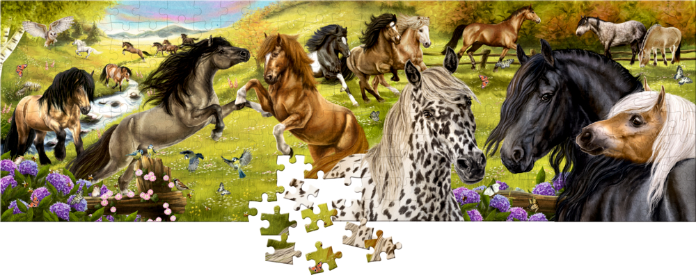Panorama-Puzzle - Pferdefreunde (250 Teile)