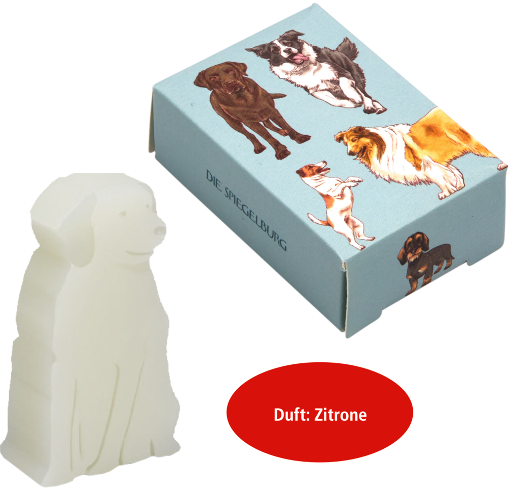 Weiße Seife in Hundeform und blaue Schachtel mit abgebildeten Hunderassen, Aufschrift „Duft: Zitrone“.