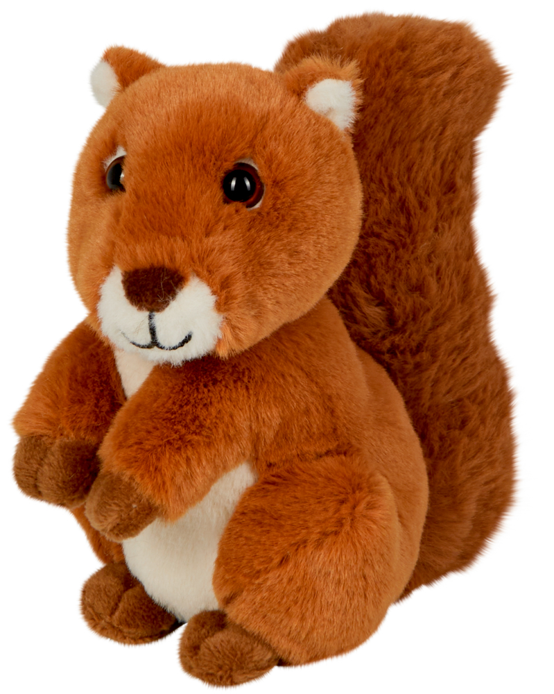 Plüschiges braunes Eichhörnchen mit weißem Bauch, schwarzen Augen und aufrecht sitzendem flauschigem Schwanz.