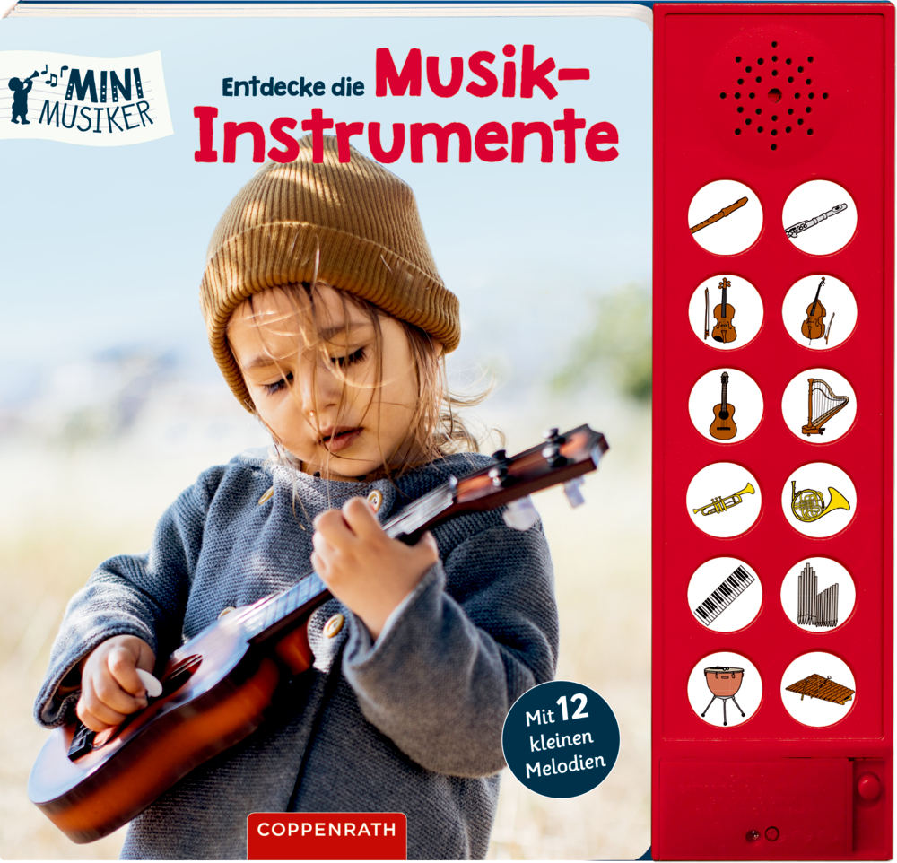Entdecke die Musikinstrumente (Mini-Musiker/Soundbuch)