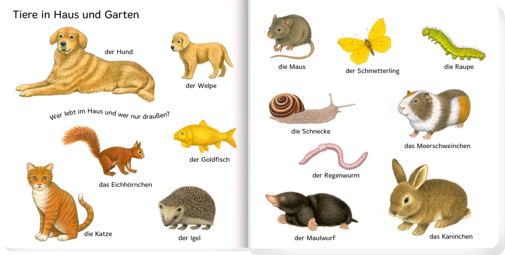 Bilder suchen - Wörter finden: 100 erste Tiere!