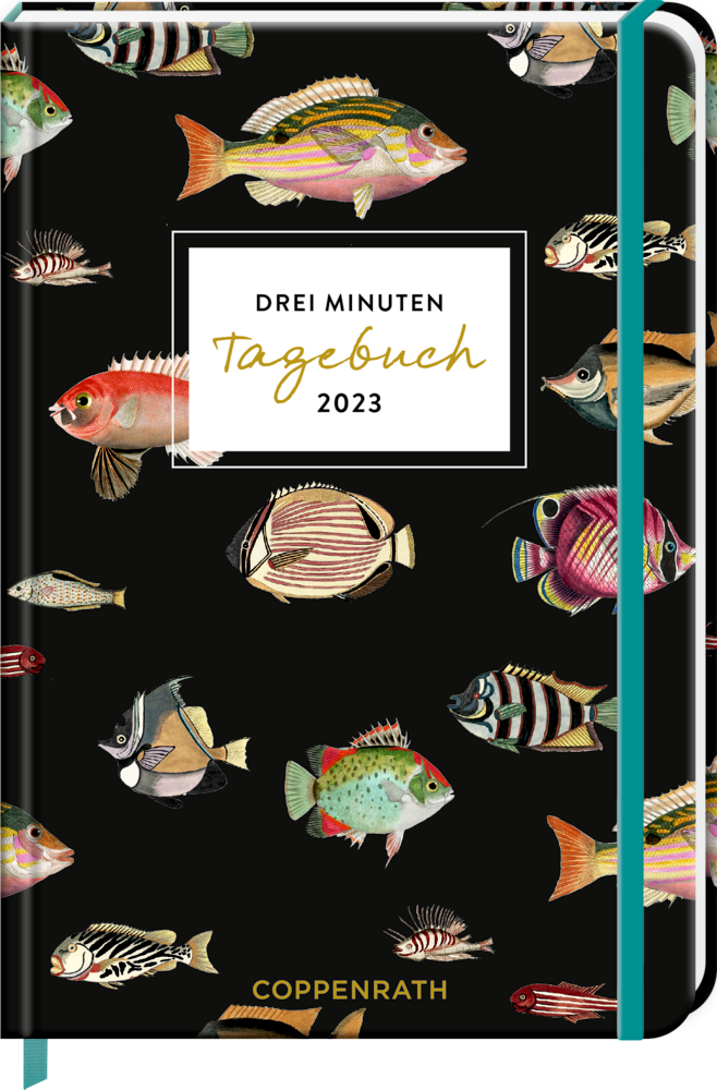 Großer Wochenkalender: Drei Minuten Tagebuch 2023 - Fische (I love my Ocean)