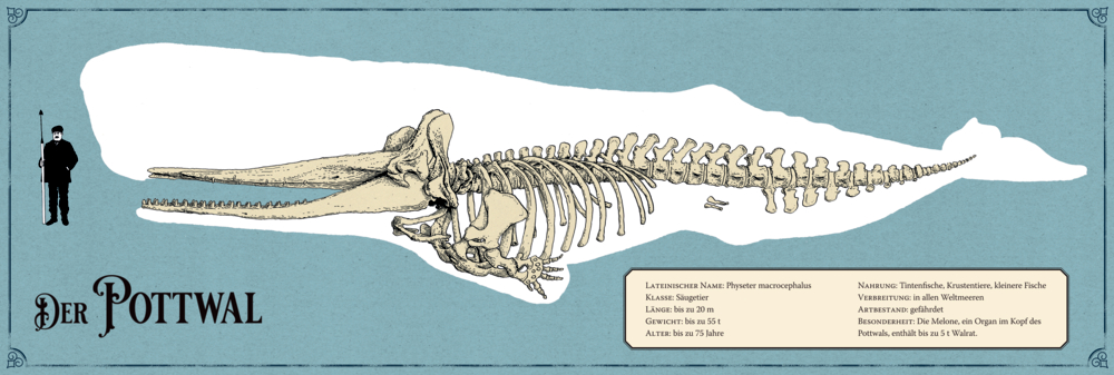 Große Schmuckausgabe: Herman Melville, Moby Dick