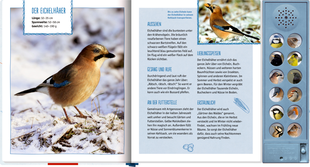 Auf einer Buchseite ist eine blau-gelbe Blaumeise auf Schnee zu sehen, rechts davon sind Fakten und Vogelfotos zu sehen.