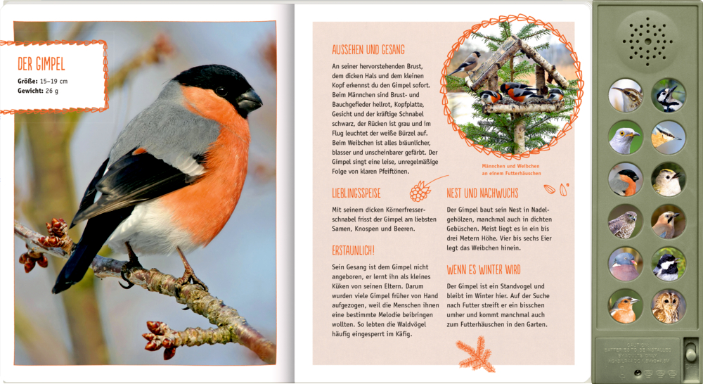 Gimpel auf einem Ast neben einer Seite mit Vogelfakten und Sound-Buttons auf der rechten Seite.