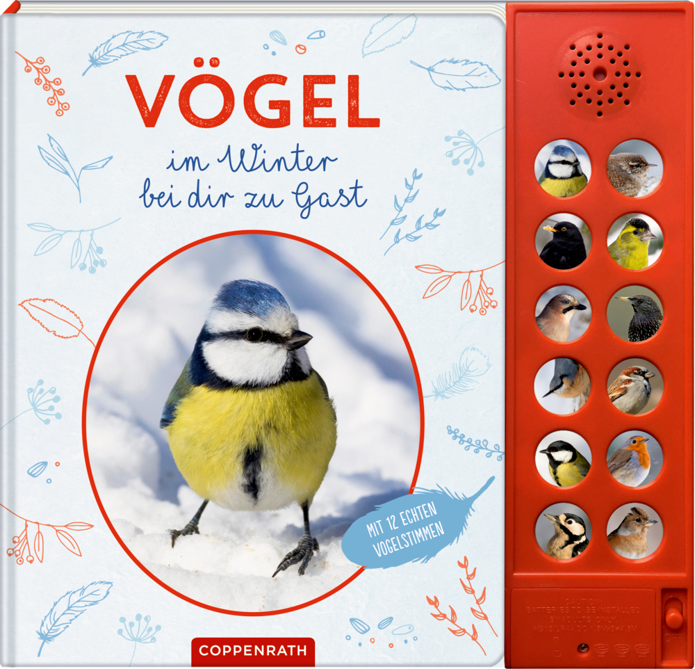Vögel im Winter bei dir zu Gast (Soundbuch)