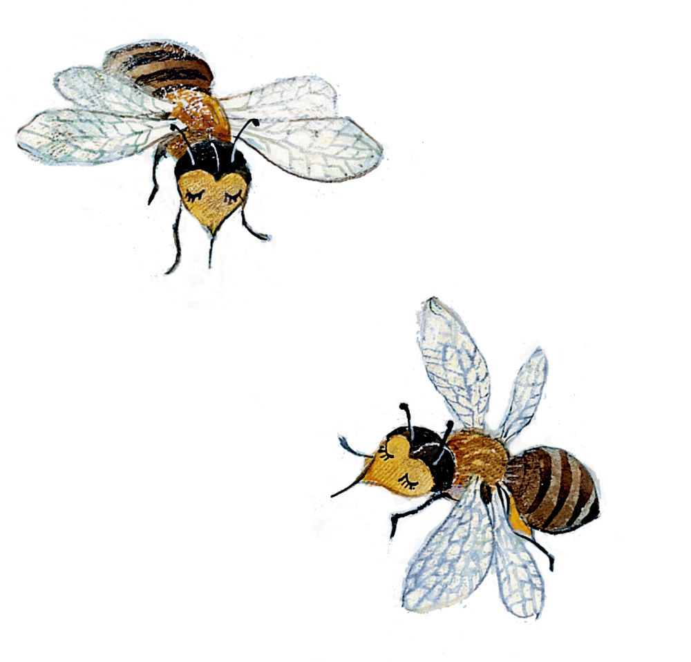 Zwei Bienen mit herzförmigen Gesichtern und geschlossenen Augen fliegen zusammen vor einem weißen Hintergrund.