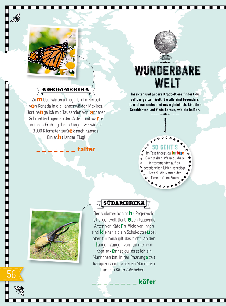 INSEKTEN & Co. - Entdecken-Verstehen-Mitmachen