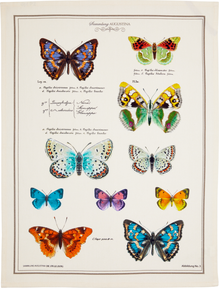 Geschirrtuch Schmetterlinge aus Baumwolle - Sammlung Augustina