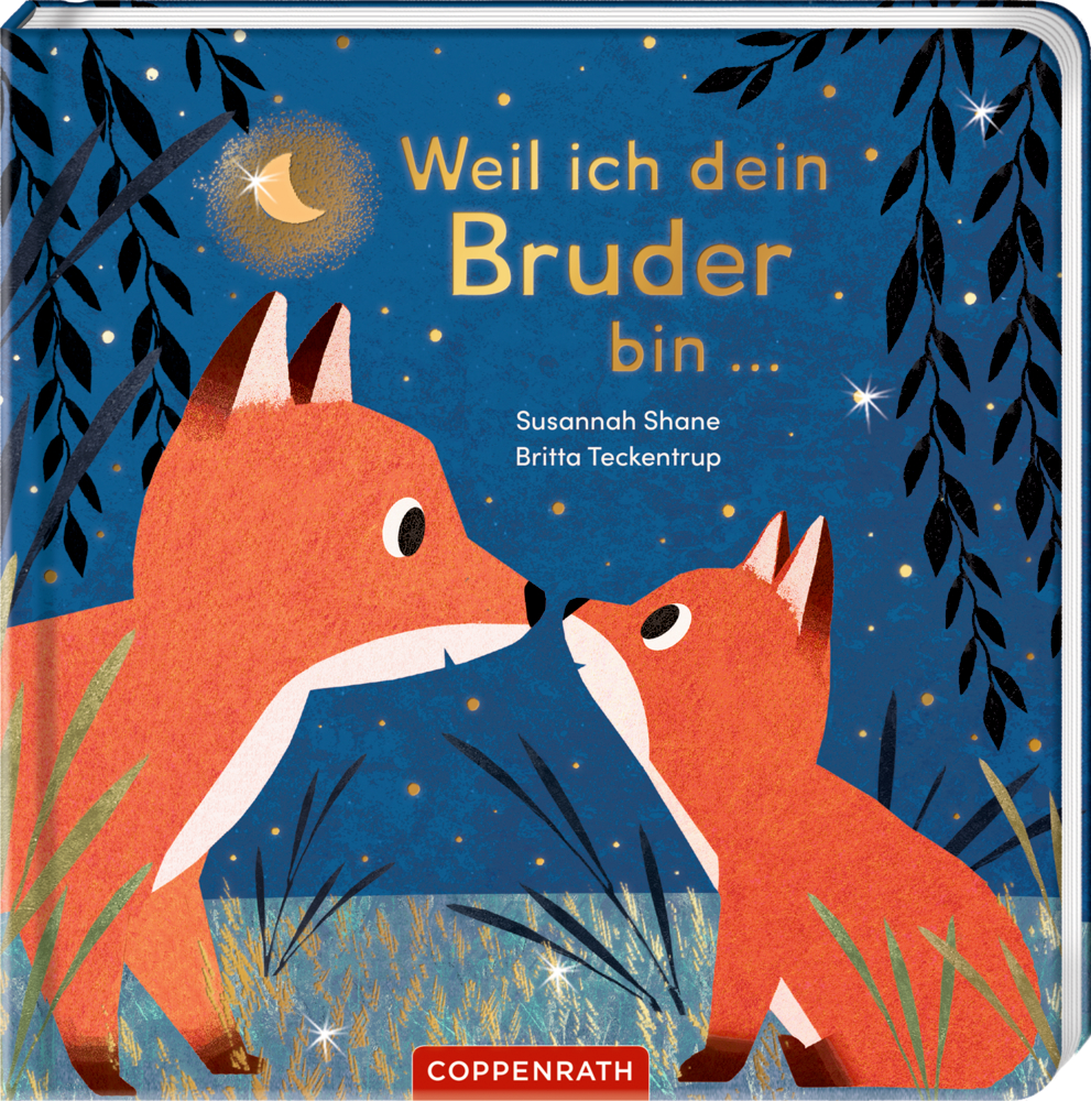 Buchcover mit zwei orangefarbenen Füchsen unter Sternenhimmel und Mond, Titeltext „Weil ich dein Bruder bin…“.