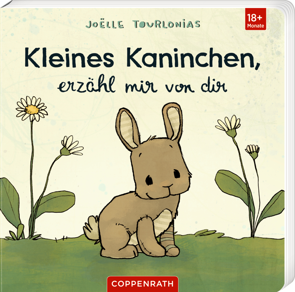 Kleines Kaninchen, erzähl mir von dir (J. Tourlonias) Auf einem Cover von "Kleines Kaninchen, erzähl mir von dir", sitzt ein braunes Häschen im Gras mit Blumen.