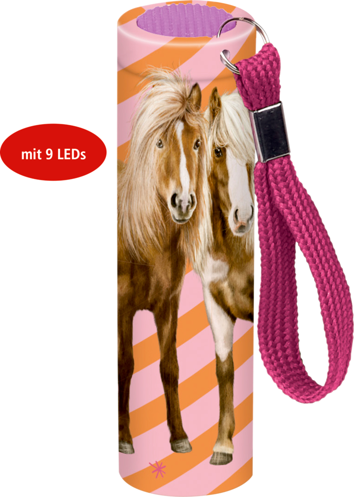 Rosa Taschenlampe mit pinkem Riemen, zwei Pferdedekorationen und orange gestreiftem Hintergrund.