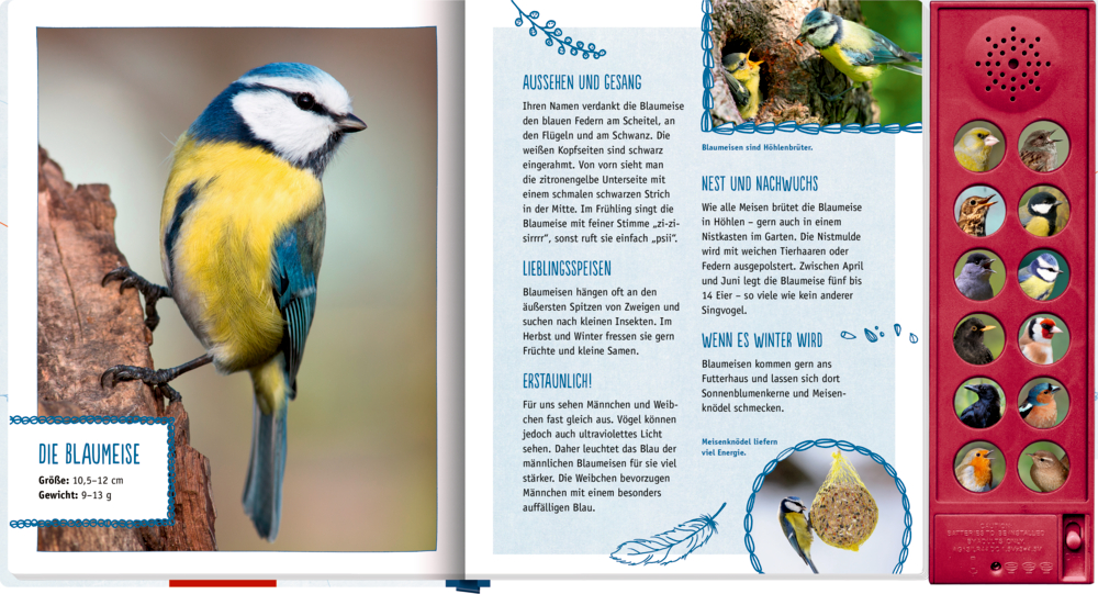 Links: Eine Blaumeise sitzt auf einem Baumstamm, rechts: Buchseite mit Vogel-Text und Schaltflächen.