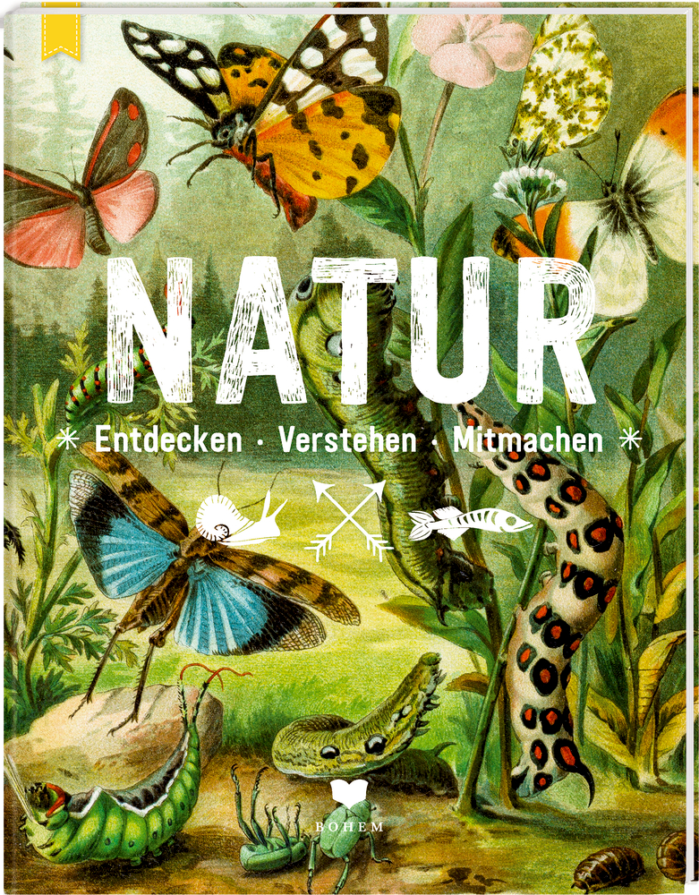 NATUR - Entdecken-Verstehen-Mitmachen Illustrierter Einband mit Schmetterlingen, Raupen und Pflanzen; Text: NATUR: Entdecken, Verstehen, Mitmachen.