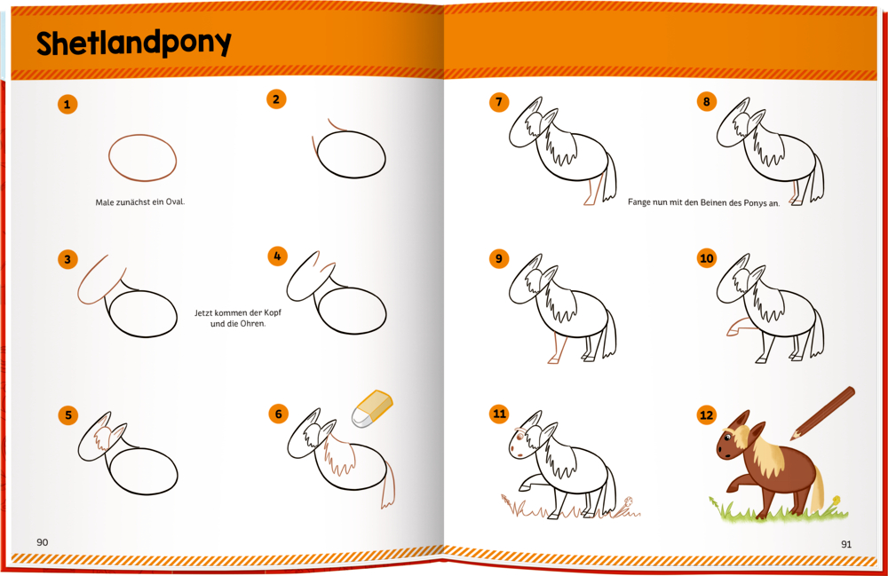 Seite mit Schritt für Schritt-Anleitung vom Grundriss bis zum ausgemalten Shetlandpony.