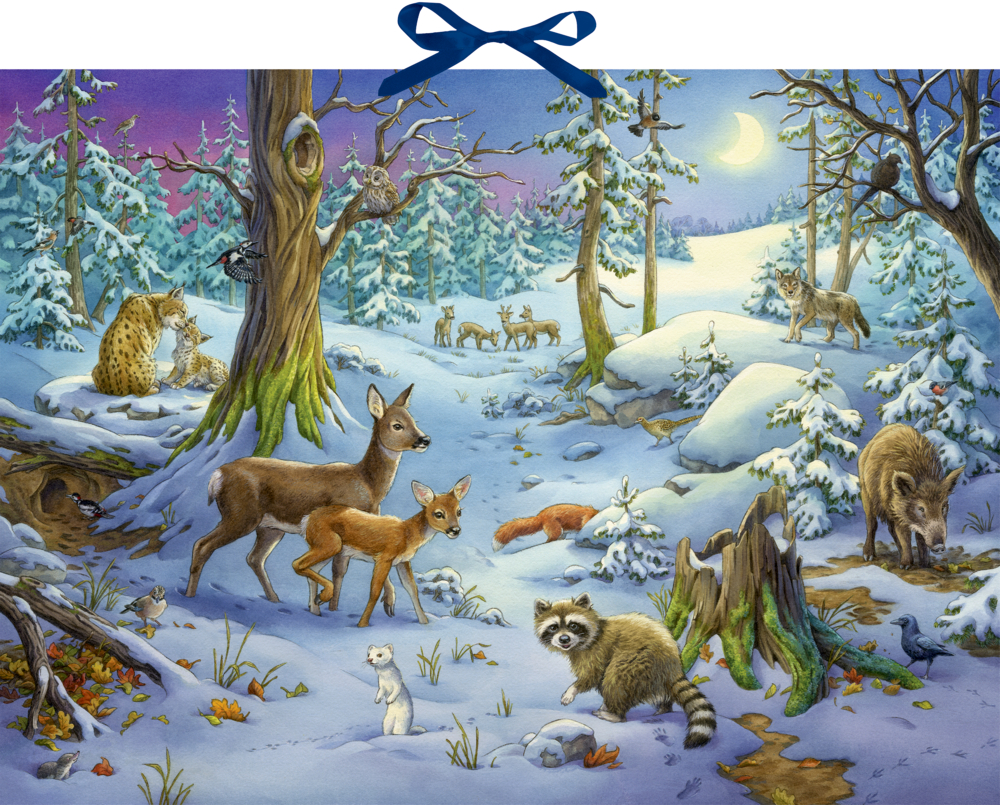 Hört ihr die Tiere im Winterwald?, Sound-Adventskalender