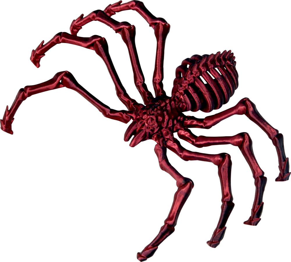 Eine rote Spinne mit skelettartigem Körper und Beinen, dargestellt auf weißem Hintergrund.