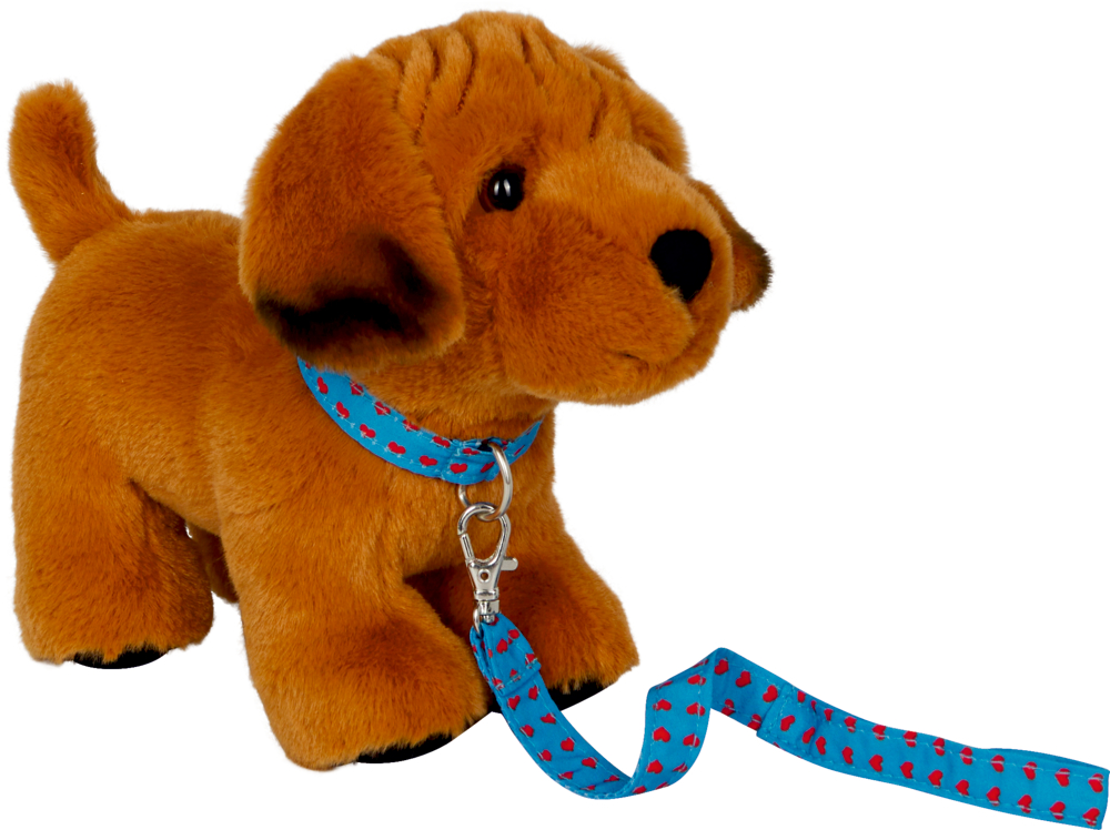 Welpe Joey mit Leine - Lustige Tierparade