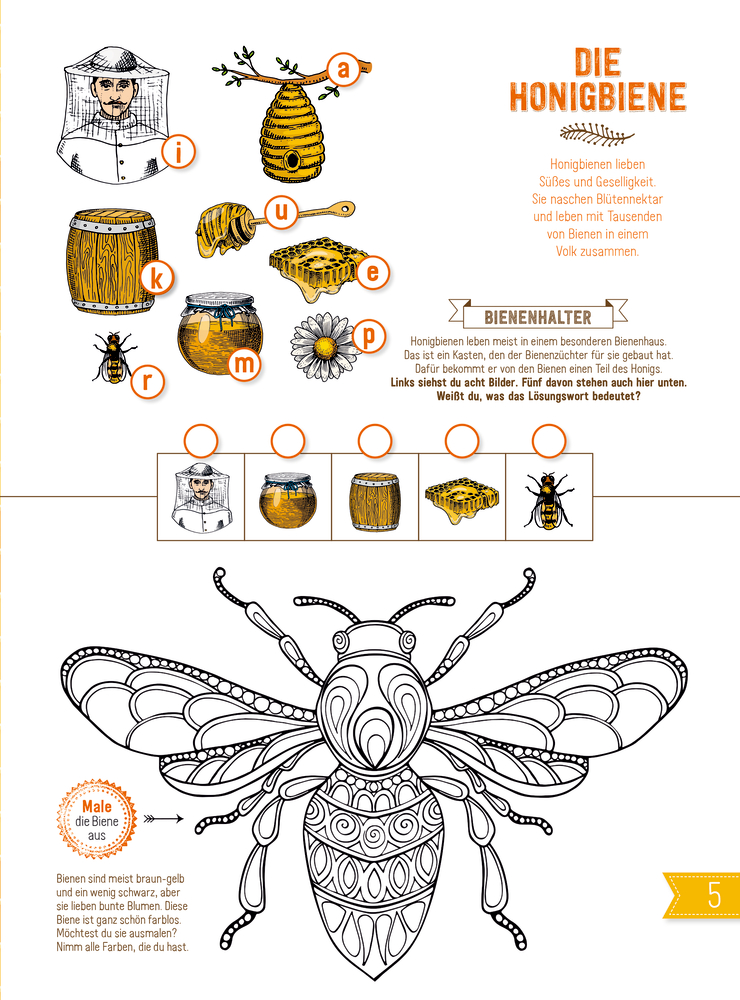 INSEKTEN & Co. - Entdecken-Verstehen-Mitmachen