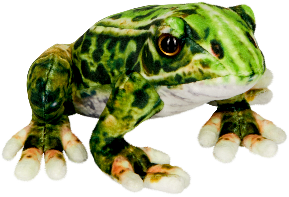 Frosch - Nature Zoom Wild Plüschfroschspielzeug mit grünen und schwarzen Flecken, großen Augen und weißen Zehenspitzen auf weißem Hintergrund.