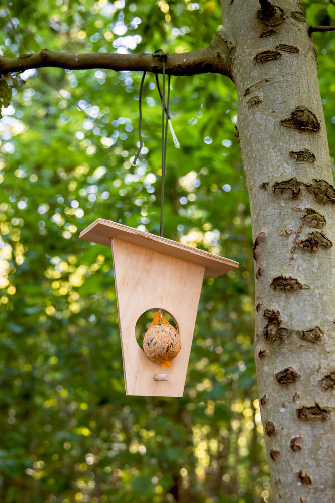 Vogelfutterstation Bausatz Nature Zoom