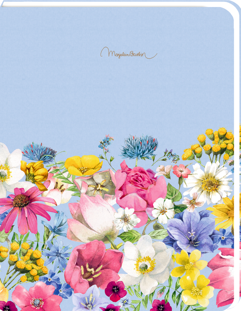 Bunte Aquarellblumen unten vor hellblauem Hintergrund, goldene Schrift oben.