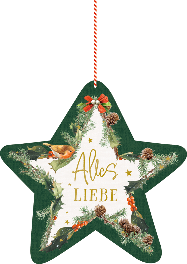 Weihnachtsornament in Sternform mit „Alles Liebe“ in Gold, Tannenzweigen, Beeren und einer roten Schleife.