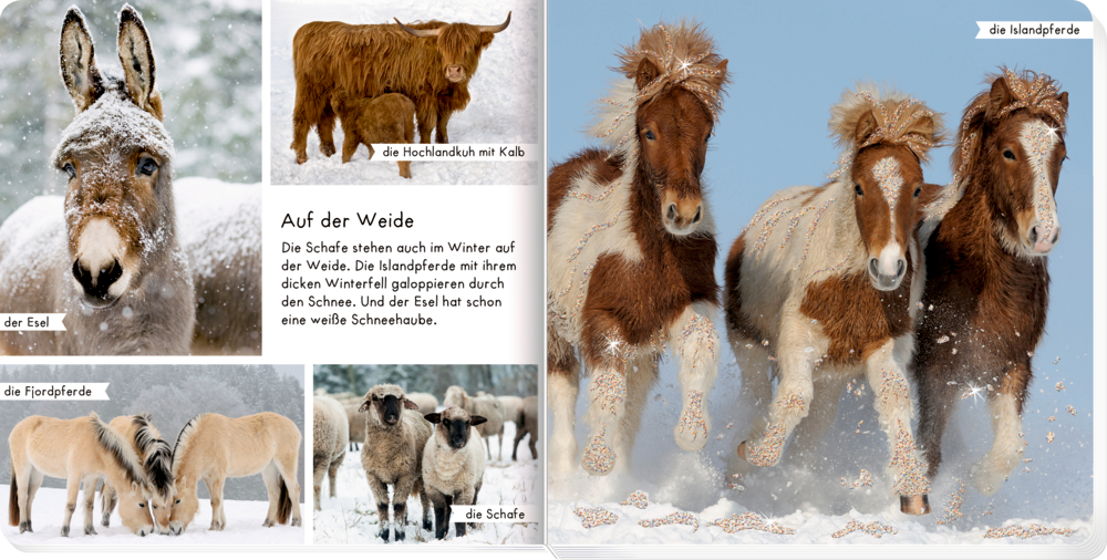 Fotos mehrerer Tiere im Schnee: ein Esel, eine Hochlandkuh mit Kalb, Fjordpferde, Schafe und zwei Islandpferde beim Galopp.