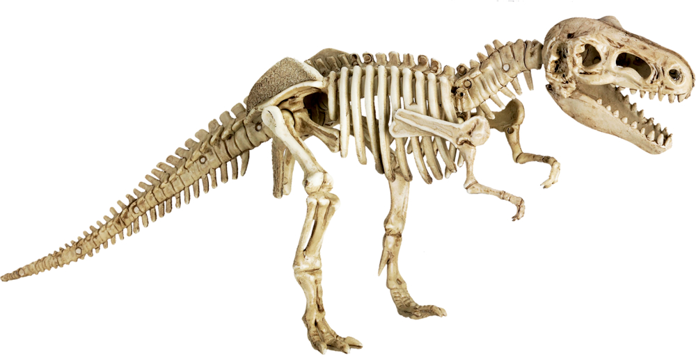Ausgrabungsset T-Rex T-Rex World (ca.18x7x4 cm)