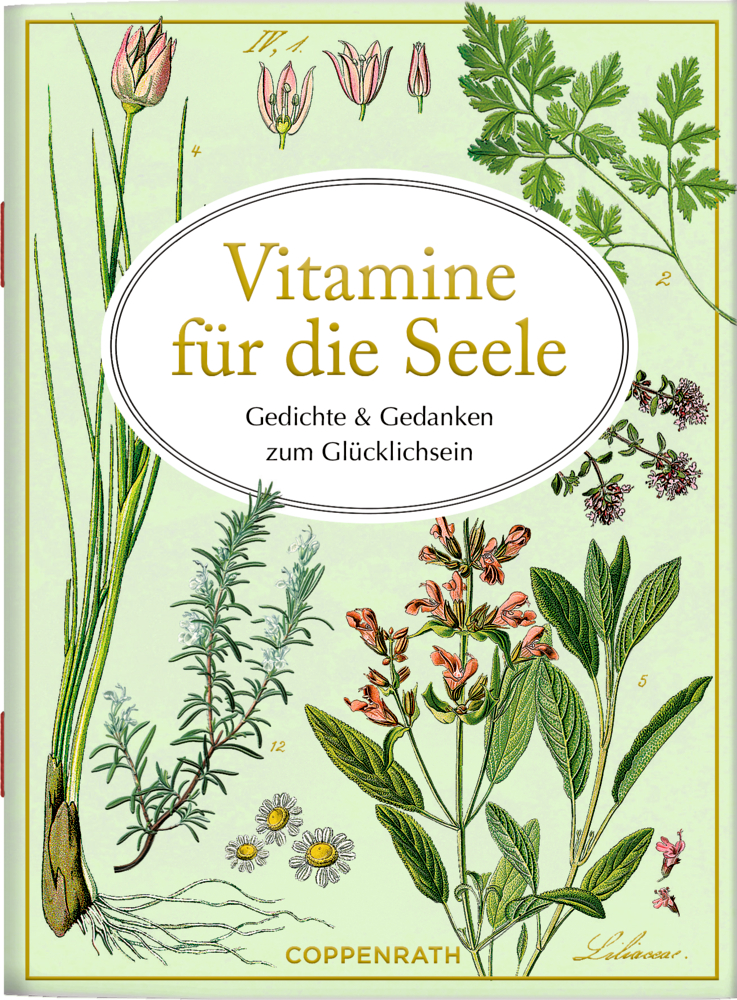Schöne Grüße: Vitamine für die Seele (AUGUSTINA) Buchcover mit botanischen Illustrationen und dem Titel „Vitamine für die Seele“ in einem gelben ovalen Rahmen.
