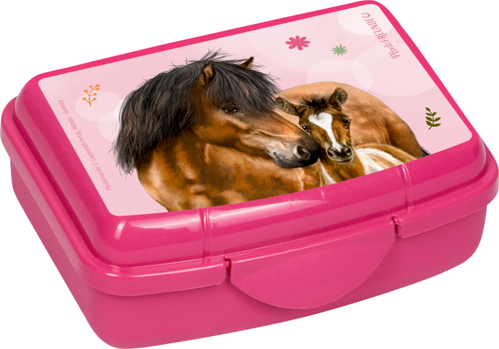 Mini-Snackbox - Pferdefreunde