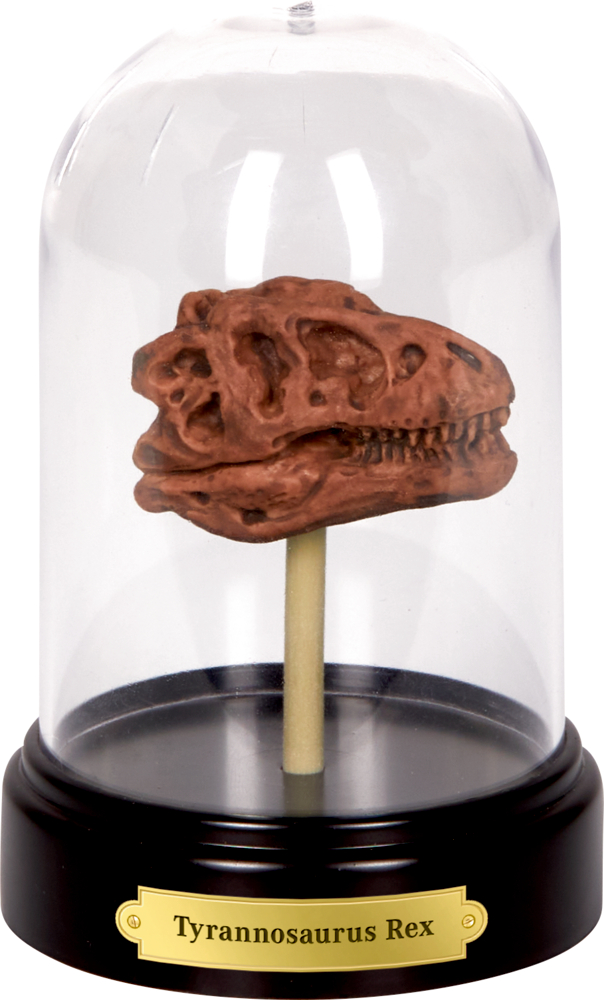 T-Rex, Ausgrabungsset Dinosaurier-Schädel - T-Rex World