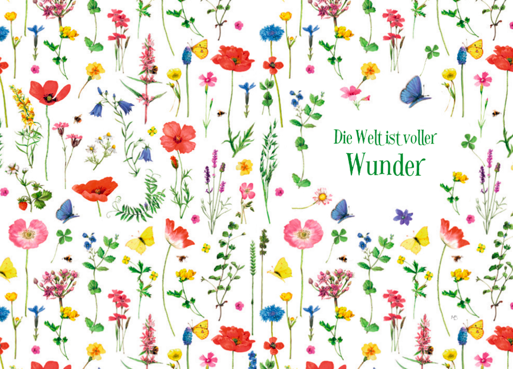 Edizione: Wo Blumen blühen, da lächelt die Welt (Bastin)