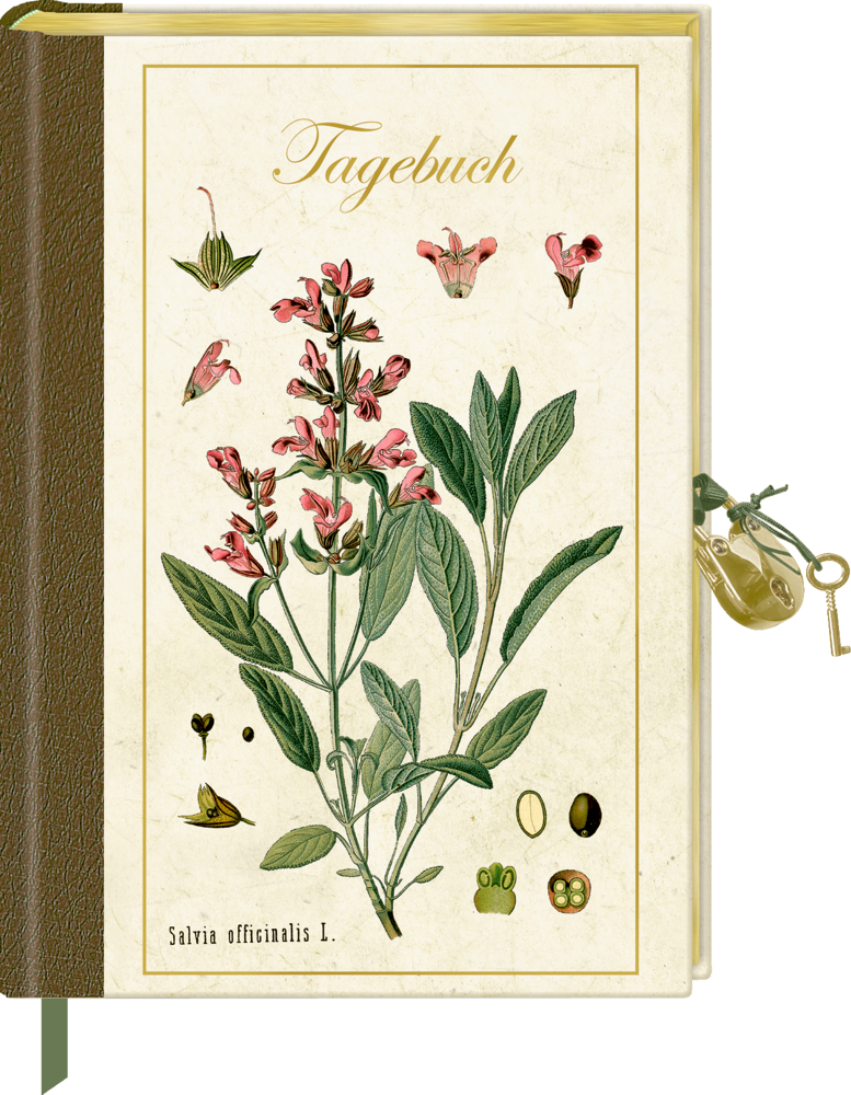 Tagebuch mit Schloss: Sammlung AUGUSTINA Illustrierter Umschlag mit rosa Salbeiblüten, Blättern, Samen und dem Schriftzug Tagebuch oben.