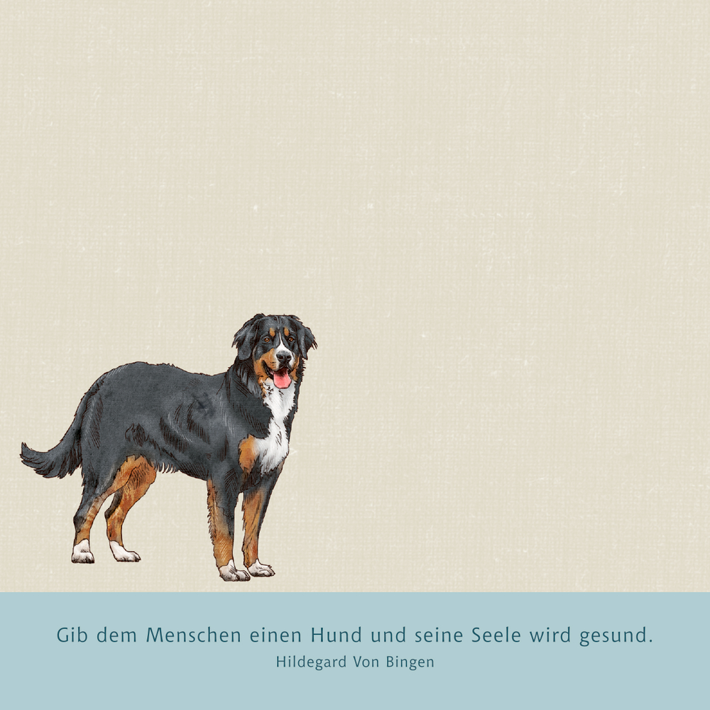 Illustration eines Berner Sennenhundes mit einem Zitat von Hildegard von Bingen über Hunde und die Seele.