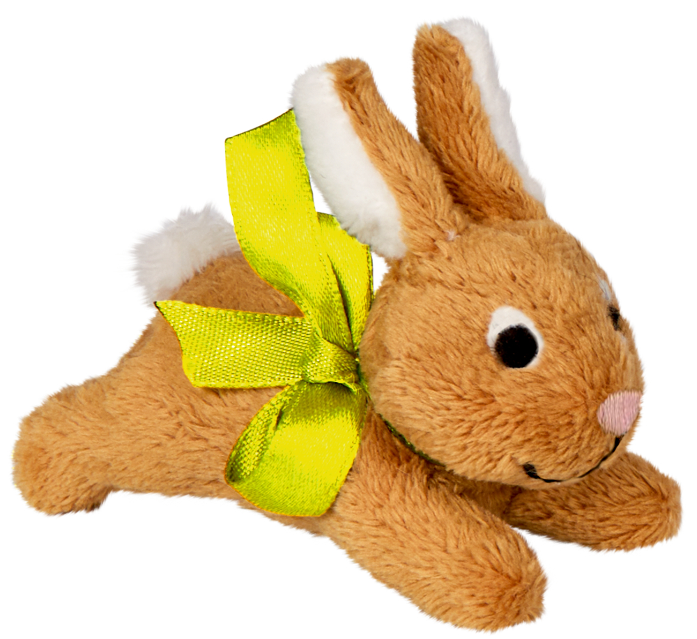 Hoppel-Häschen Fröhliche Ostern!
