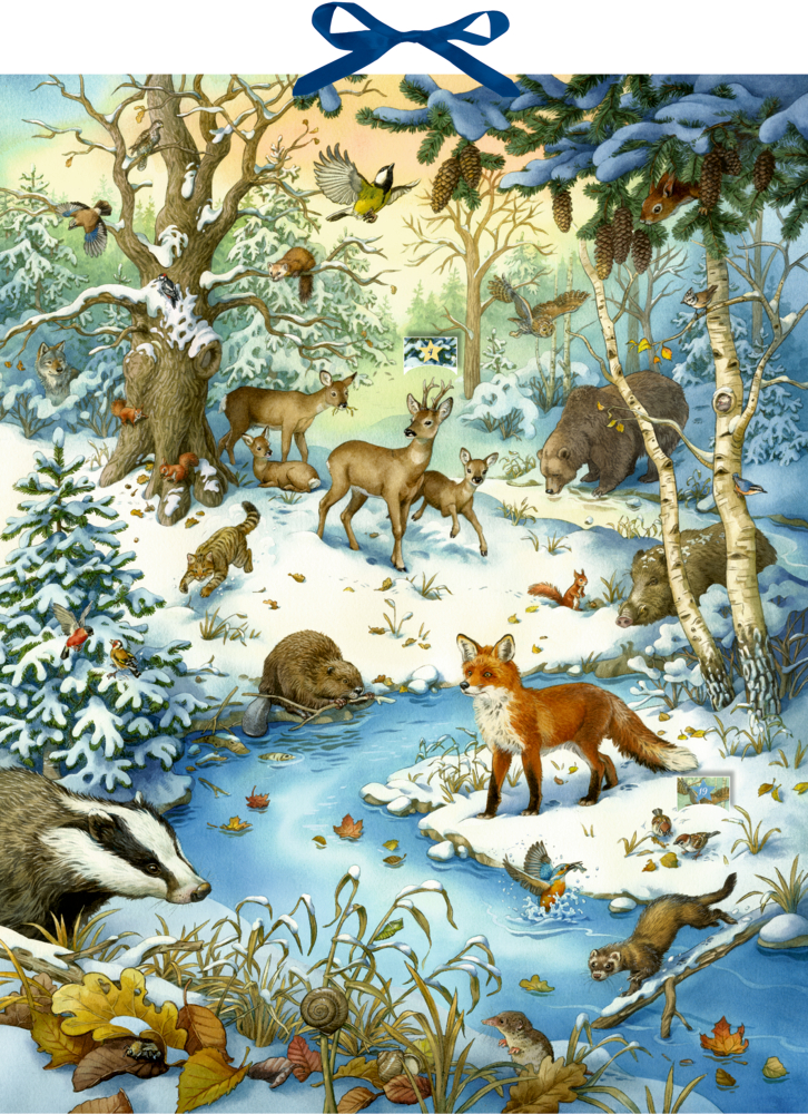 â€“ Fuchs, Hirsch, Dachs, Biber, VÃ¶gel und Kaninchen â€“ in einer lieblichen Illustration eines verschneiten Waldes.