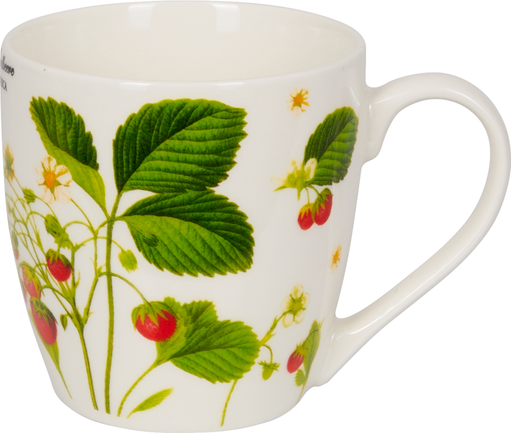 Porzellan-Tasse "Erdbeeren" - Sammlung Augustina Weiße Keramiktasse mit grünen Blättern und roten Erdbeeren auf der Außenseite.